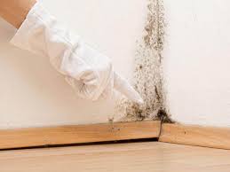 Best Residential Mold Inspection & Testing  in Conneaut, OH